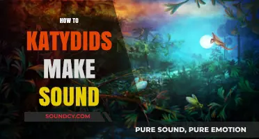 Unveiling the Acoustic Secrets: How Katydids Produce Their Unique Sounds