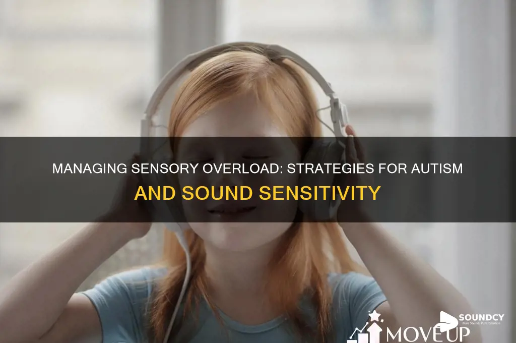 how to keep from being overwhelmed by sound autism