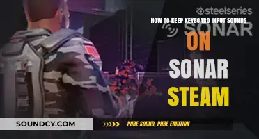 Maintain Keyboard Input Sounds in Sonar Steam: A Step-by-Step Guide