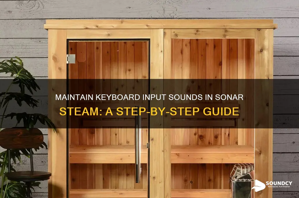 how to keep keyboard input sounds on sonar steam