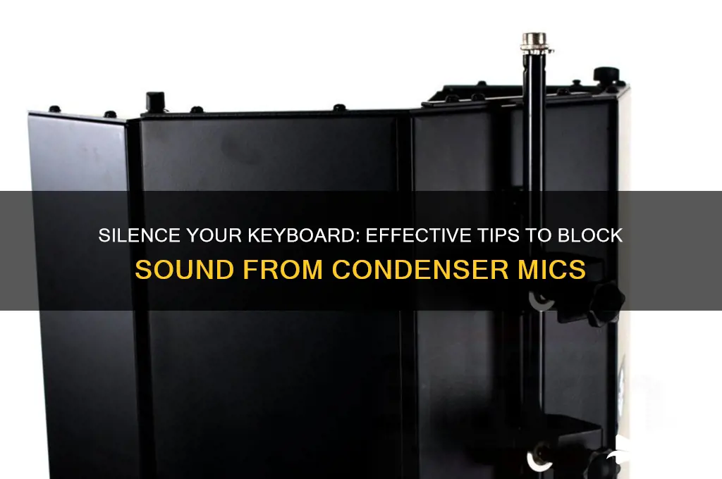 how to keep keyboard sound out of condenser mic