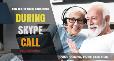 Effective Tips to Maintain Clear Audio During Skype Calls