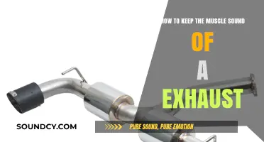 Maintain Your Exhaust's Muscle Sound: Tips for Long-Lasting Roar