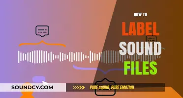 Efficient Sound File Labeling: Tips for Organizing Your Audio Library