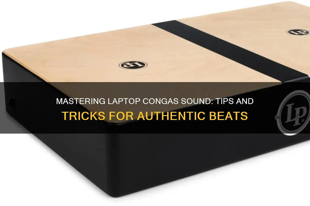 how to laptop congas sound