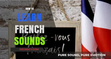 Mastering French Pronunciation: A Beginner’s Guide to Authentic Sounds