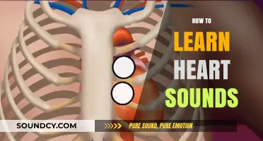 Mastering Heart Sounds: Essential Techniques for Accurate Auscultation