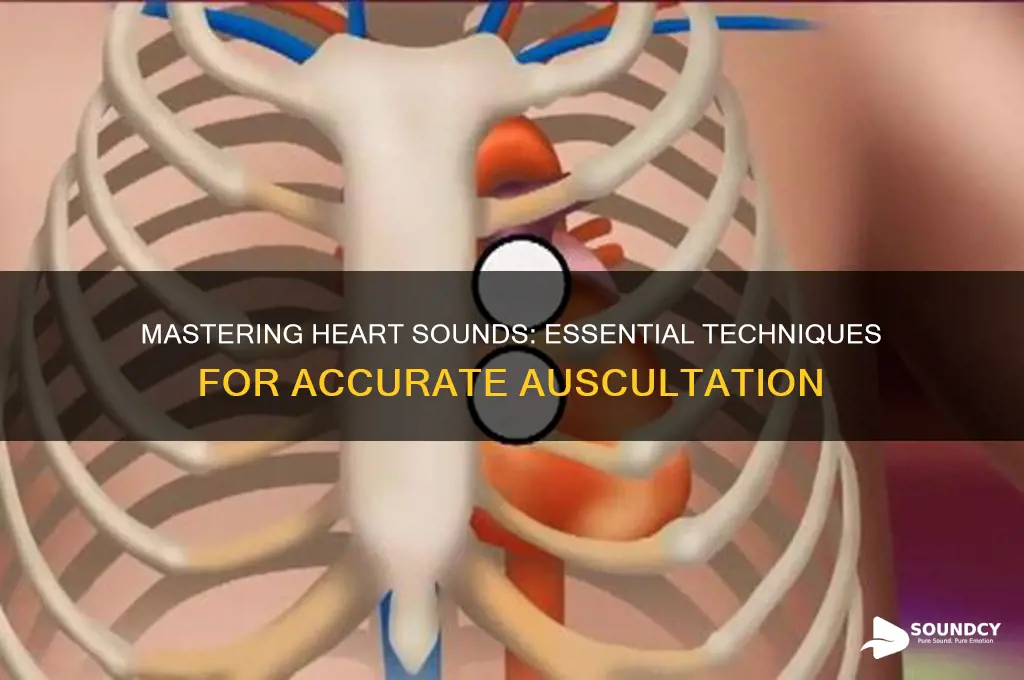 how to learn heart sounds