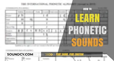 Mastering Phonetic Sounds: A Step-by-Step Guide to Accurate Pronunciation