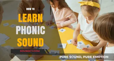 Mastering Phonics: Simple Steps to Learn and Teach Phonic Sounds