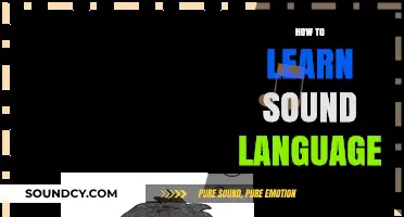 Mastering Sound Language: Effective Techniques for Auditory Learning Success