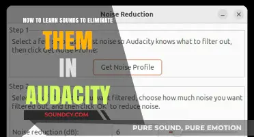 Mastering Audacity: Techniques to Identify and Remove Unwanted Sounds