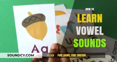 Mastering Vowel Sounds: A Step-by-Step Guide to Pronunciation and Fluency
