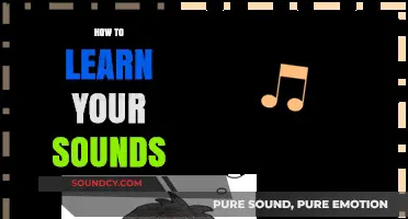 Mastering Your Sounds: A Step-by-Step Guide to Auditory Learning