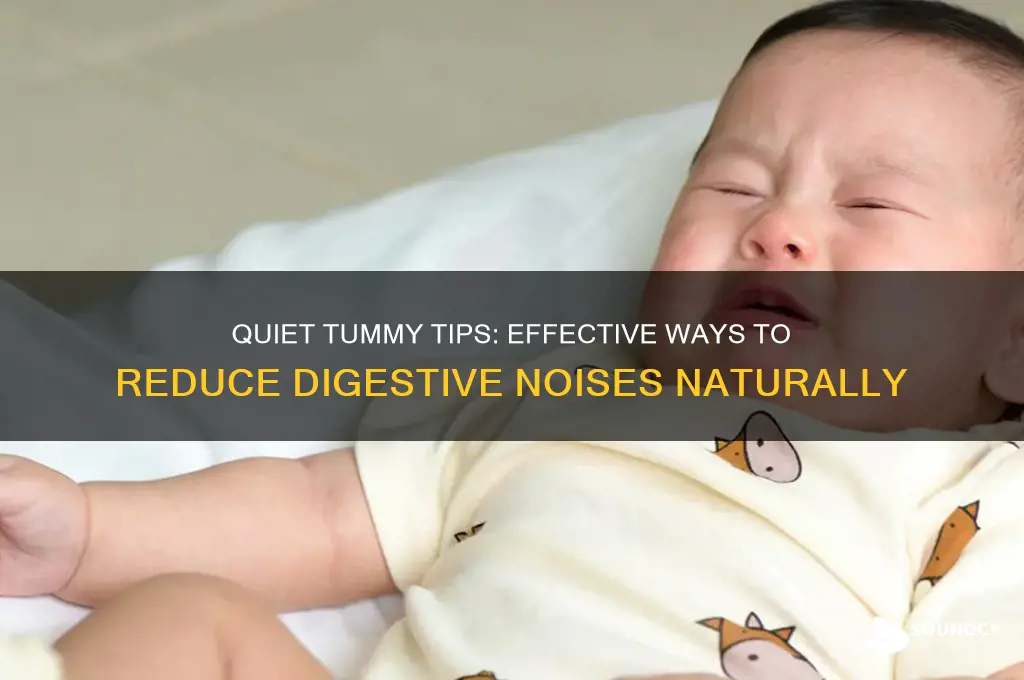 how to lessen disgestive sounds