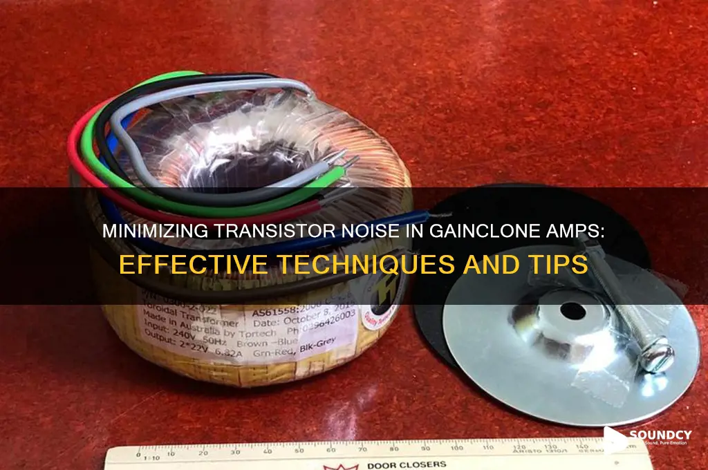how to lessen the transistor sound of a gainclone