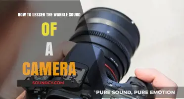 Reduce Camera Warble: Tips to Silence Annoying Recording Noises