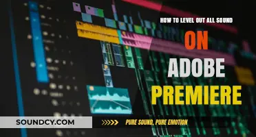 Mastering Audio Balance: Leveling Sound in Adobe Premiere Pro