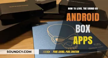 Master Android Box Audio: Easy Steps to Level App Sound