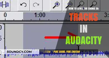 Mastering Audio Balance: Leveling Sound Tracks in Audacity