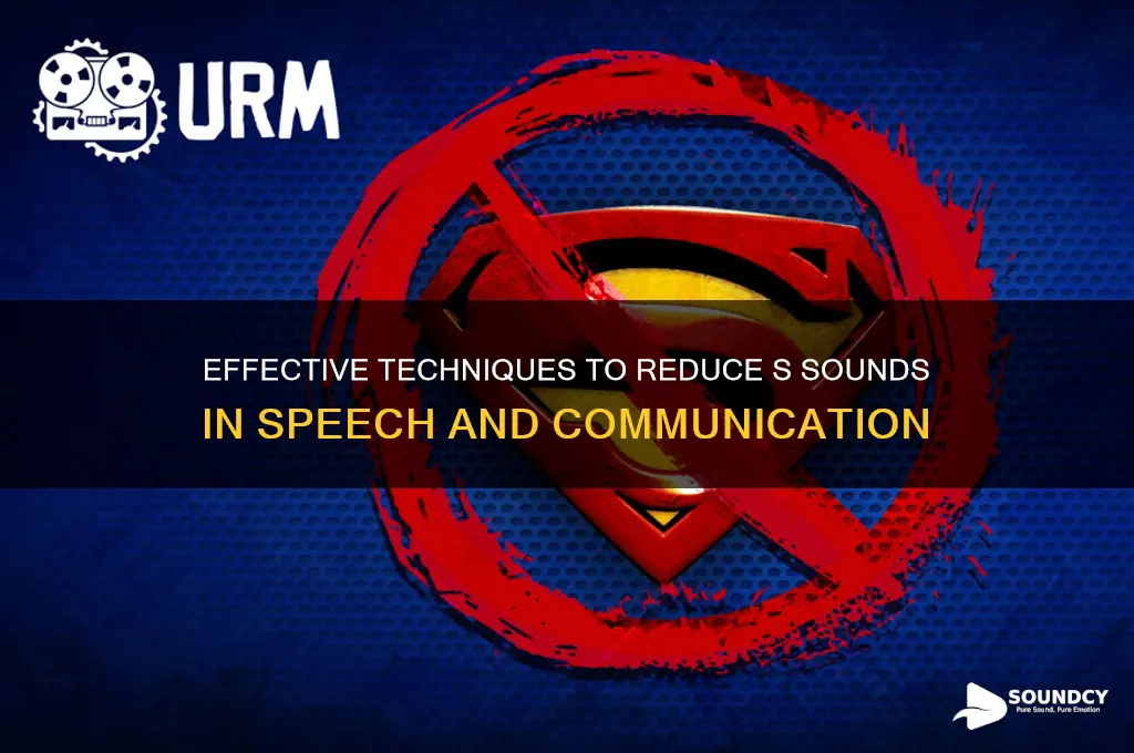 how to limit s sounds