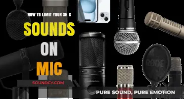 Master Mic Clarity: Techniques to Reduce Excessive 'S' Sounds in Speech