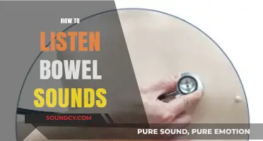 Mastering Auscultation: A Step-by-Step Guide to Listening to Bowel Sounds