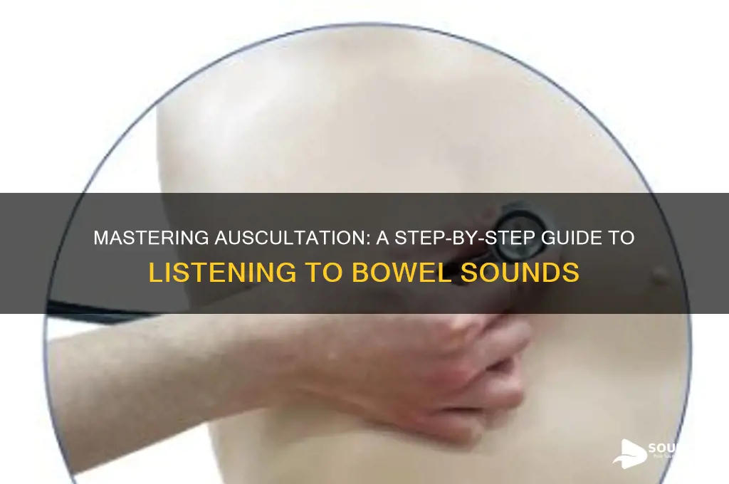how to listen bowel sounds