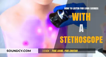 Mastering Lung Auscultation: A Step-by-Step Guide to Stethoscope Use