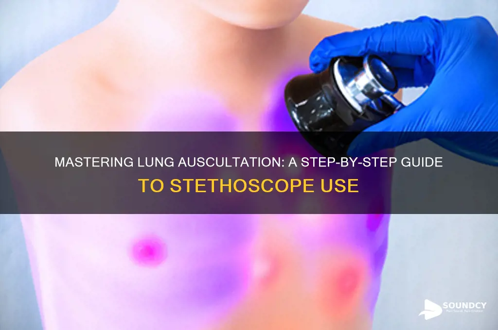 how to listen for lung sounds with a stethoscope