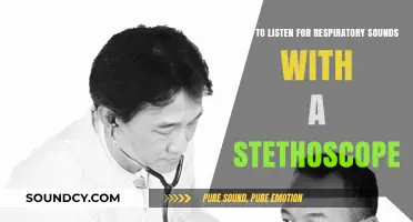 Mastering Stethoscope Skills: A Guide to Hearing Respiratory Sounds