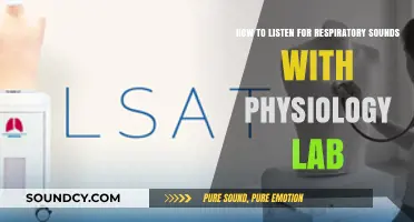 Mastering Respiratory Sound Auscultation in Physiology Lab: Techniques and Tips