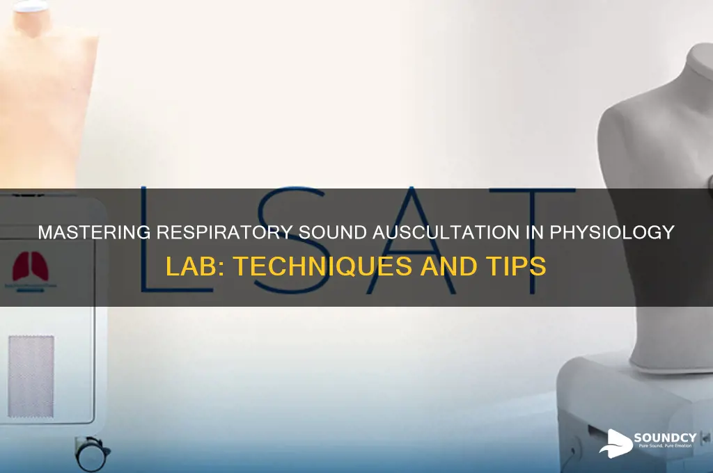how to listen for respiratory sounds with physiology lab