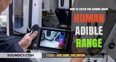 Unlocking Ultrasonic Secrets: How to Detect Sounds Beyond Human Hearing