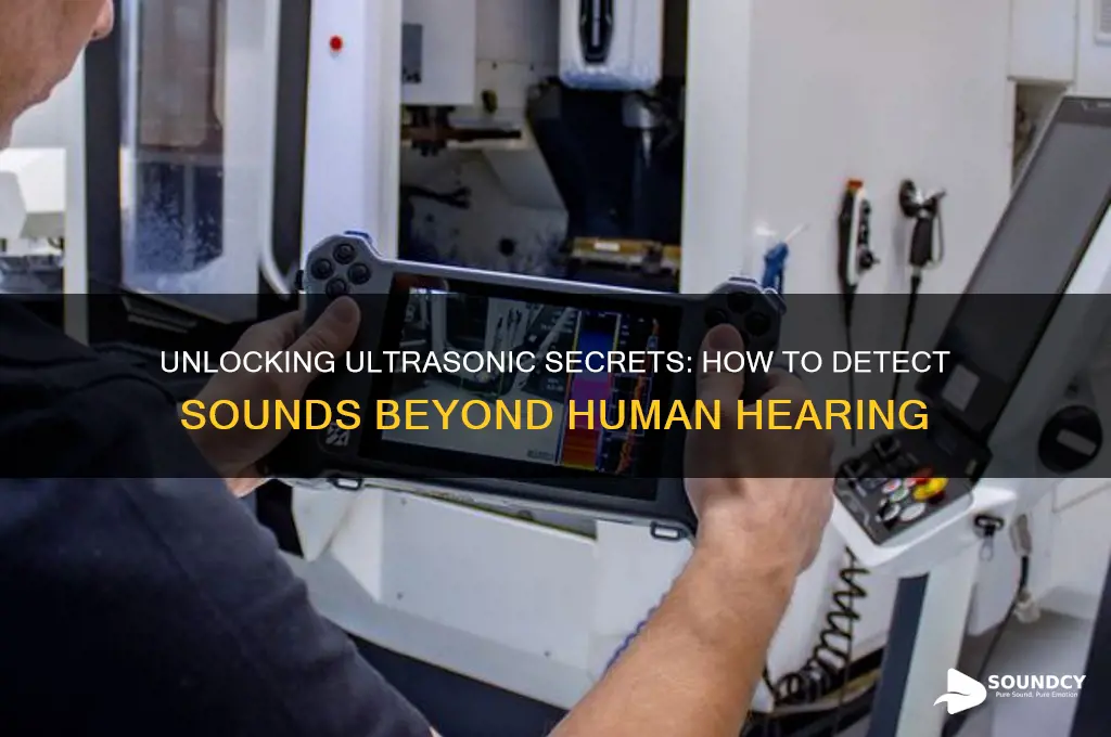 how to listen for sounds above human adible range
