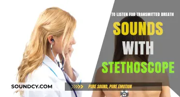 Mastering Stethoscope Techniques: Listening to Transmitted Breath Sounds Effectively