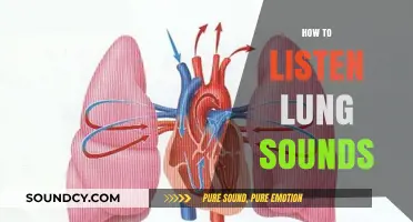 Mastering Auscultation: A Comprehensive Guide to Listening to Lung Sounds