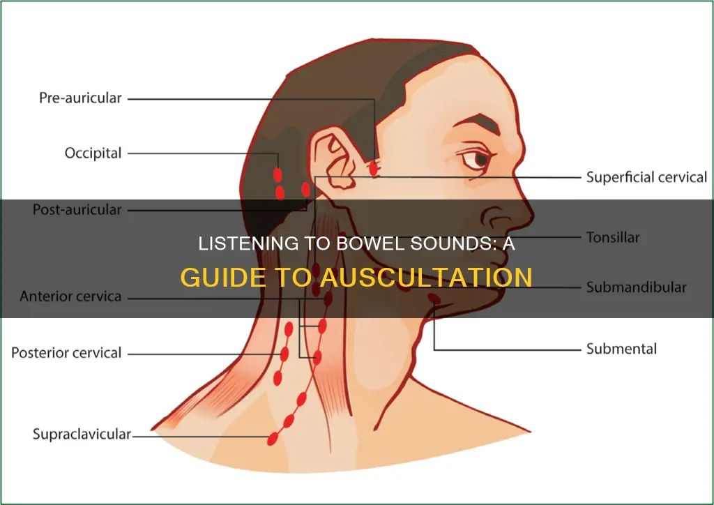 how to listen to bowel sounds