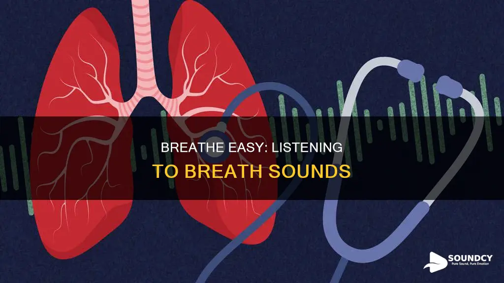 how to listen to breath sounds