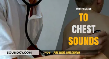 Listen to Chest Sounds: A Stethoscope Guide