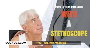 Mastering Stethoscope Skills: A Guide to Listening to Heart Sounds
