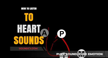 Listen to Heart Sounds: A Guide to Auscultation