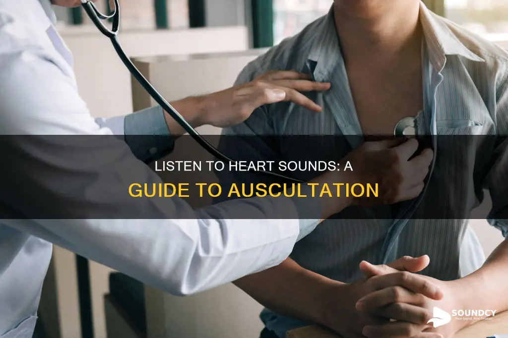 how to listen to heart sounds