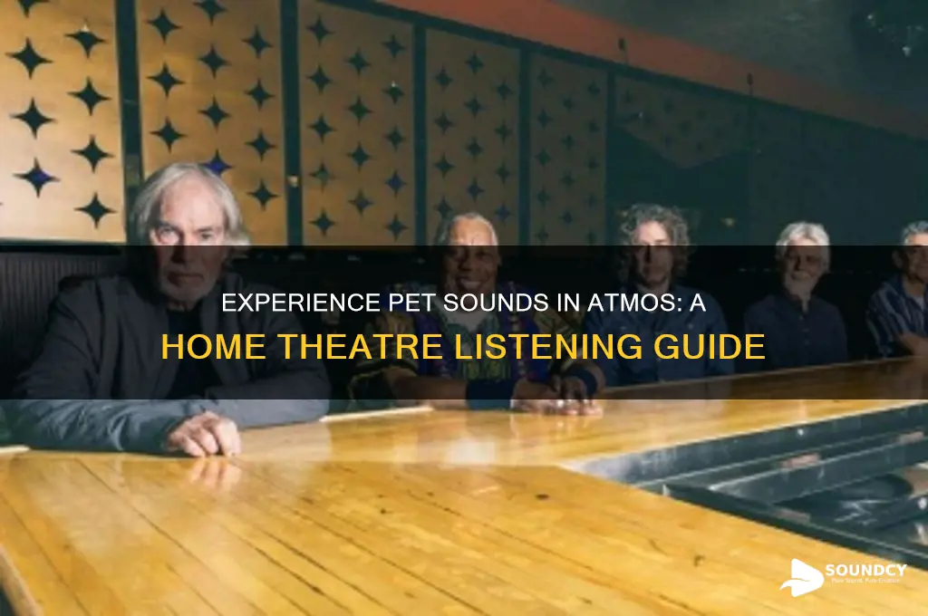 how to listen to pet sounds atmos home theatre