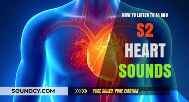 Mastering Auscultation: A Guide to Identifying S1 and S2 Heart Sounds