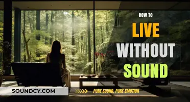 Silent Living: Mastering a Peaceful Life Without Sound