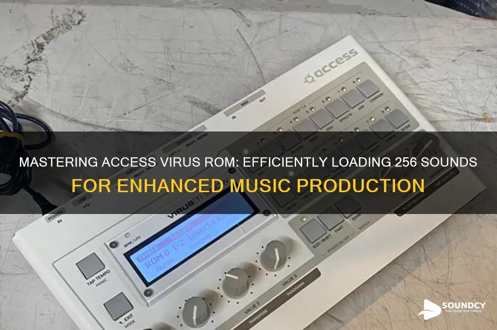 how to load 256 sounds into access virus rom