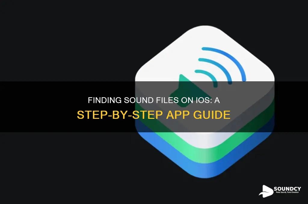 how to locate sound files on ios from app