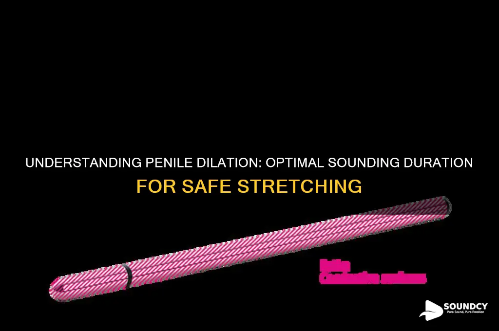 how to long to sound for dialation in penis