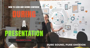 Mastering Confidence: Tips to Look and Sound Polished in Presentations